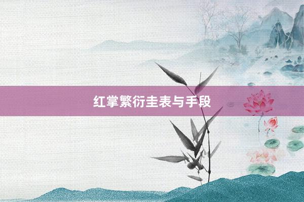 红掌繁衍圭表与手段