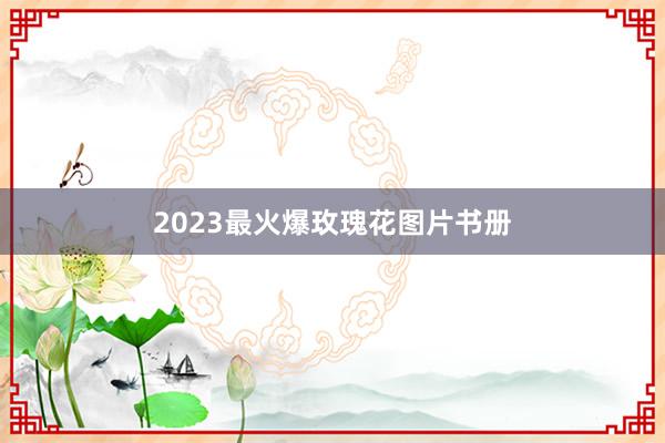 2023最火爆玫瑰花图片书册