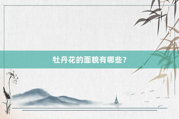 牡丹花的面貌有哪些？