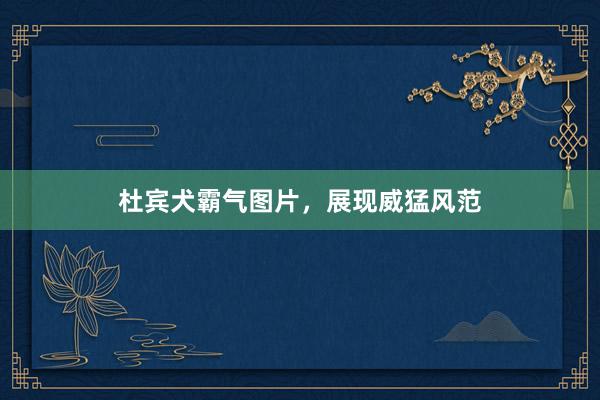 杜宾犬霸气图片，展现威猛风范