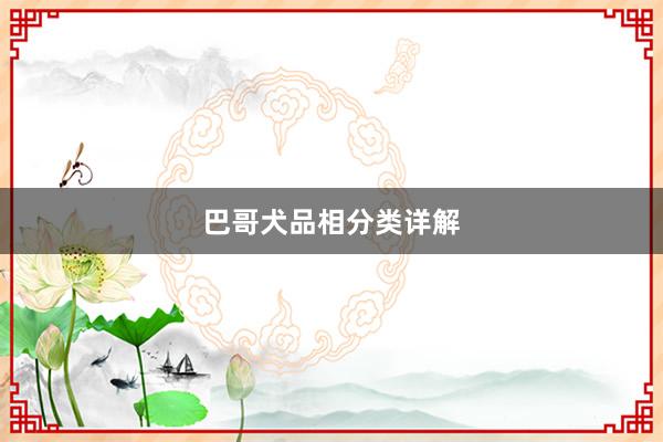 巴哥犬品相分类详解