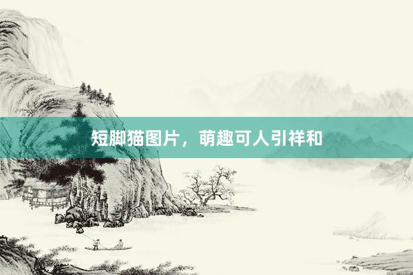 短脚猫图片，萌趣可人引祥和